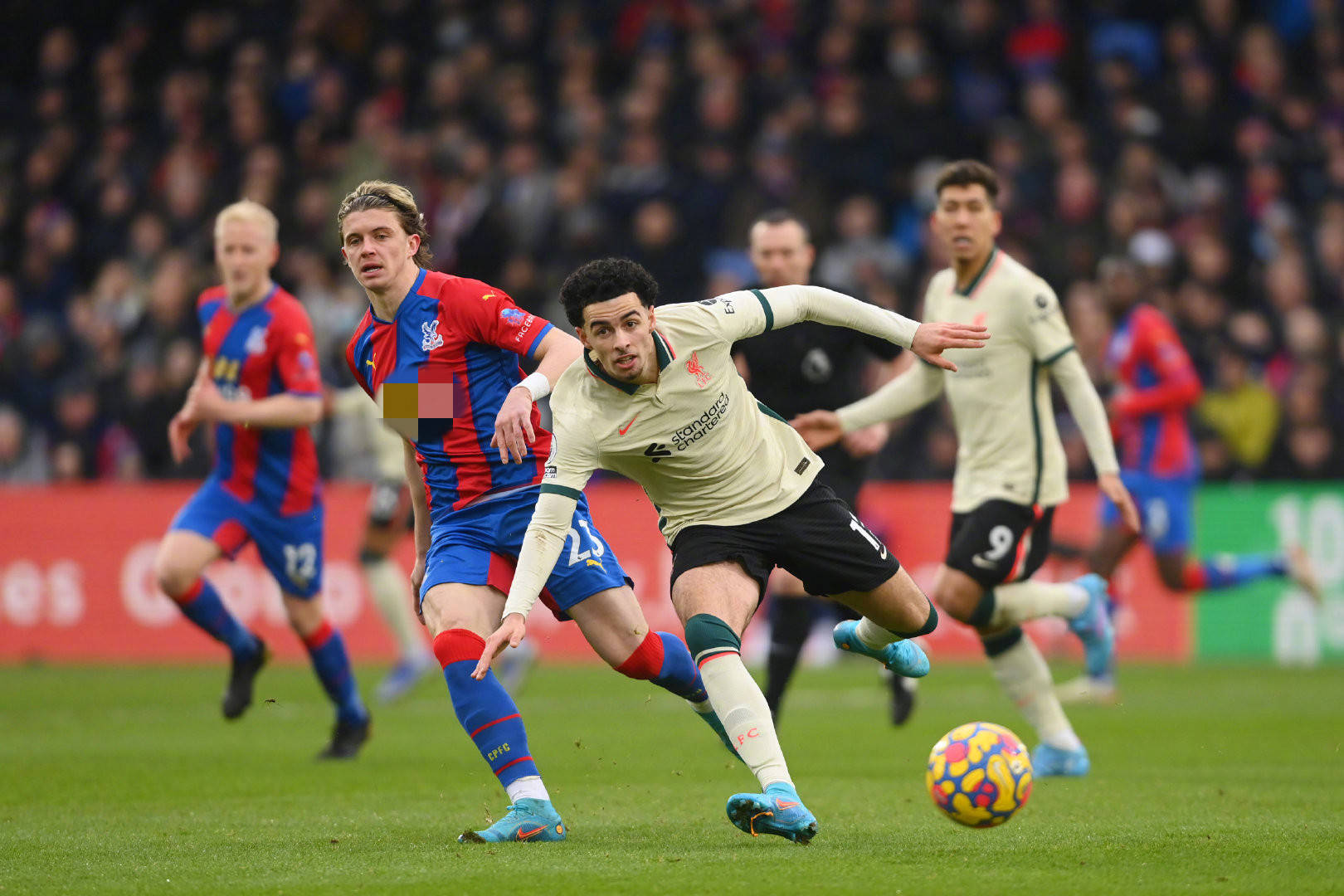 也有类似案 也有类似案