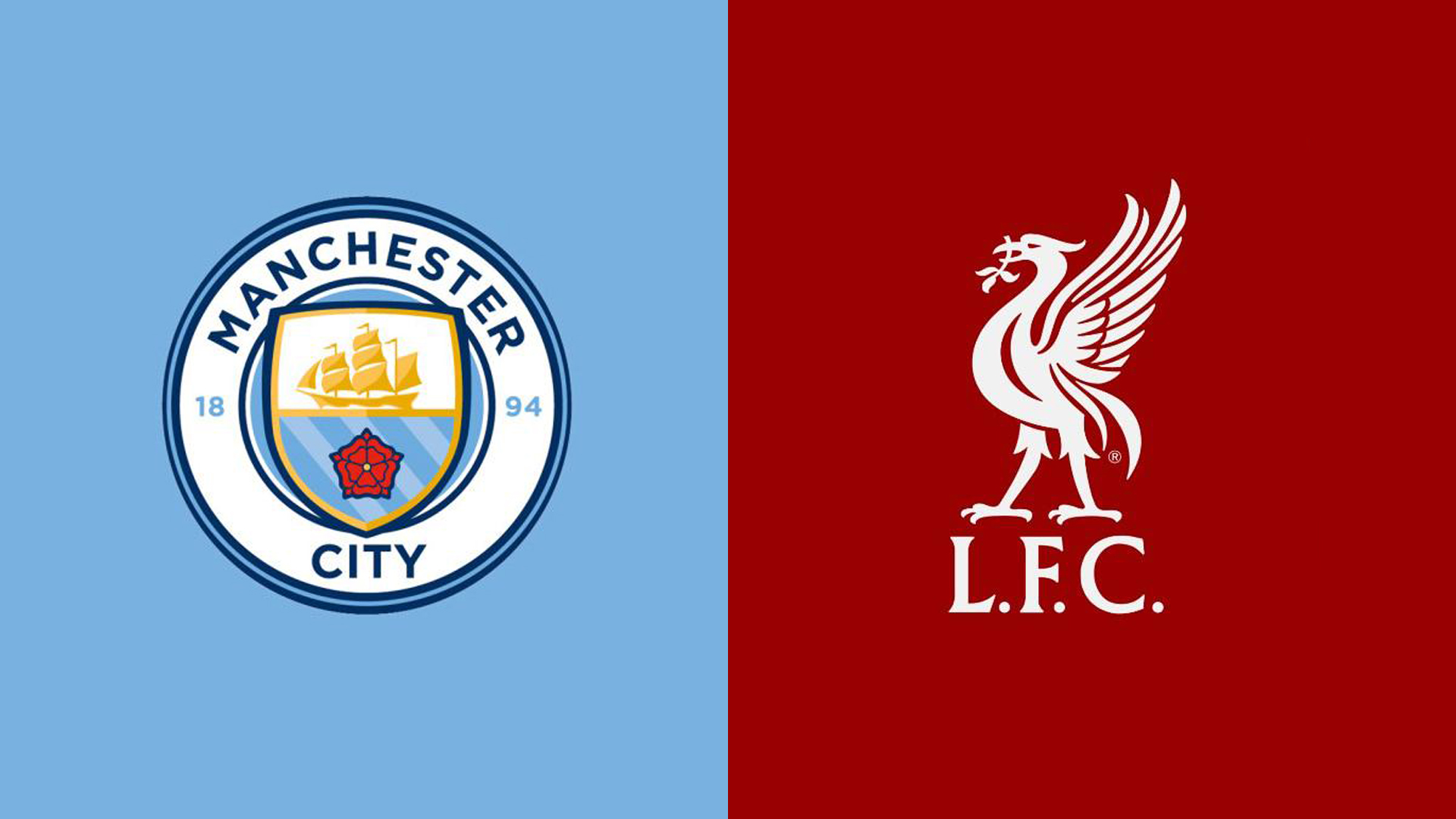 在球场上 在球场上